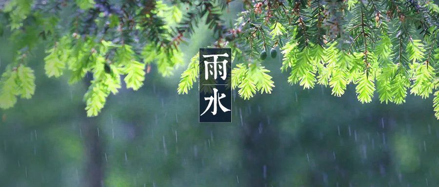 湖南雨水最新报道，滋润大地与心灵的甘霖