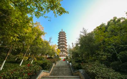 宁远最新黑势力，与大自然的深度探索之旅