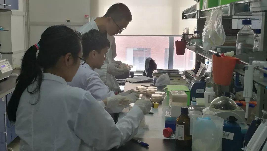 酒店创新之旅，自信与成就感的源泉，正能量创新展现风采