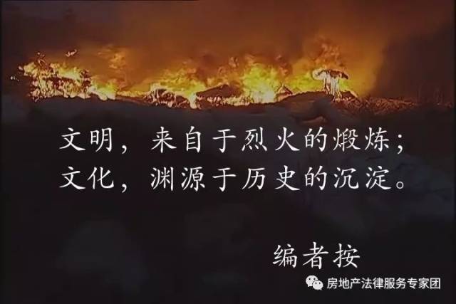 时代背景下的绽放，别枝最新章节
