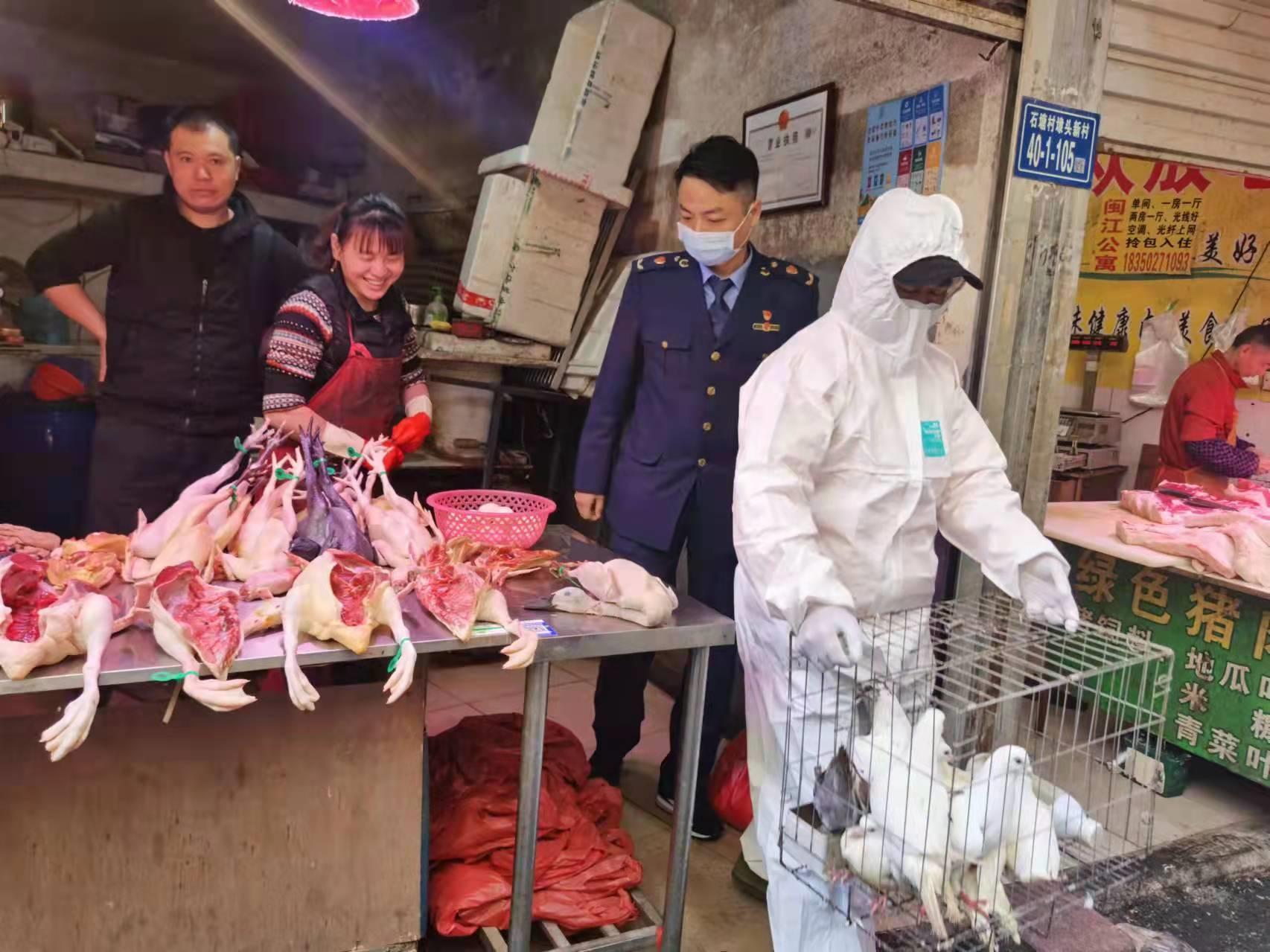 活禽交易最新步骤指南与市场信息更新
