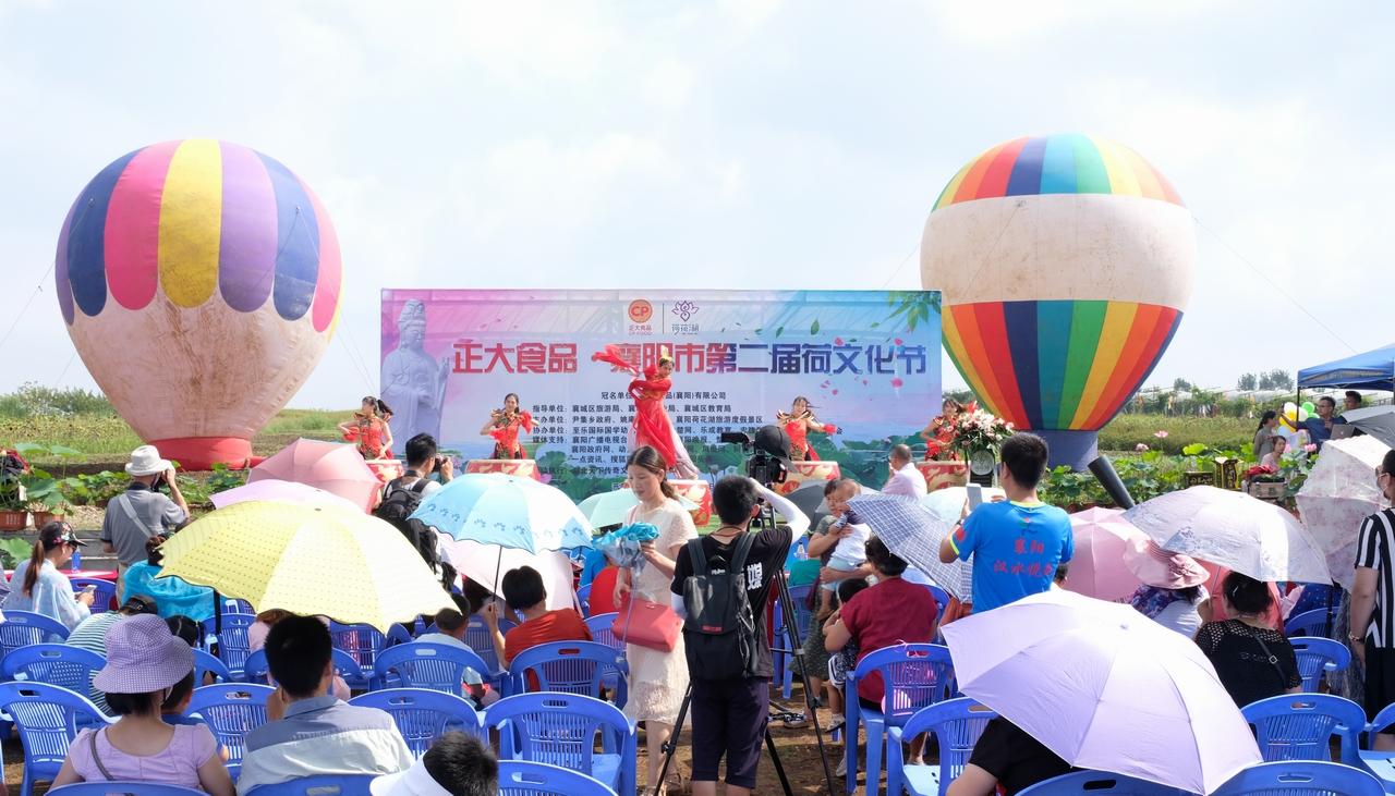 襄阳尹集最新发展动态概览