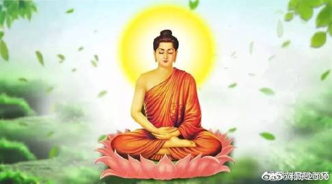 网易云最新活动，自然美景探索之旅，探寻内心平静的美好